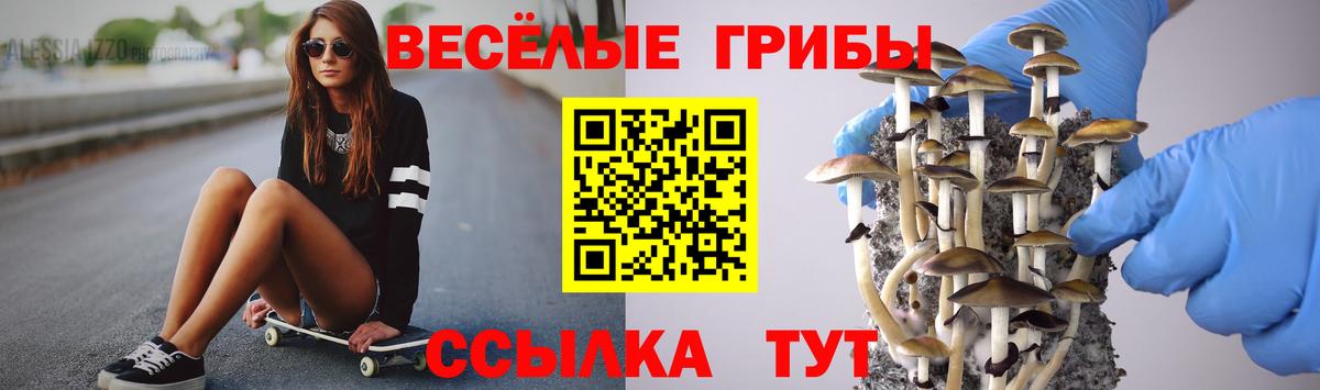 Alpha-PVP СОЛЬ кристаллы  ЭКСТАЗИ  Александров  Вход с VPN  Кодеин  Гашиш  Меф кристаллы  МАРИХУАНА  LSD-25 
